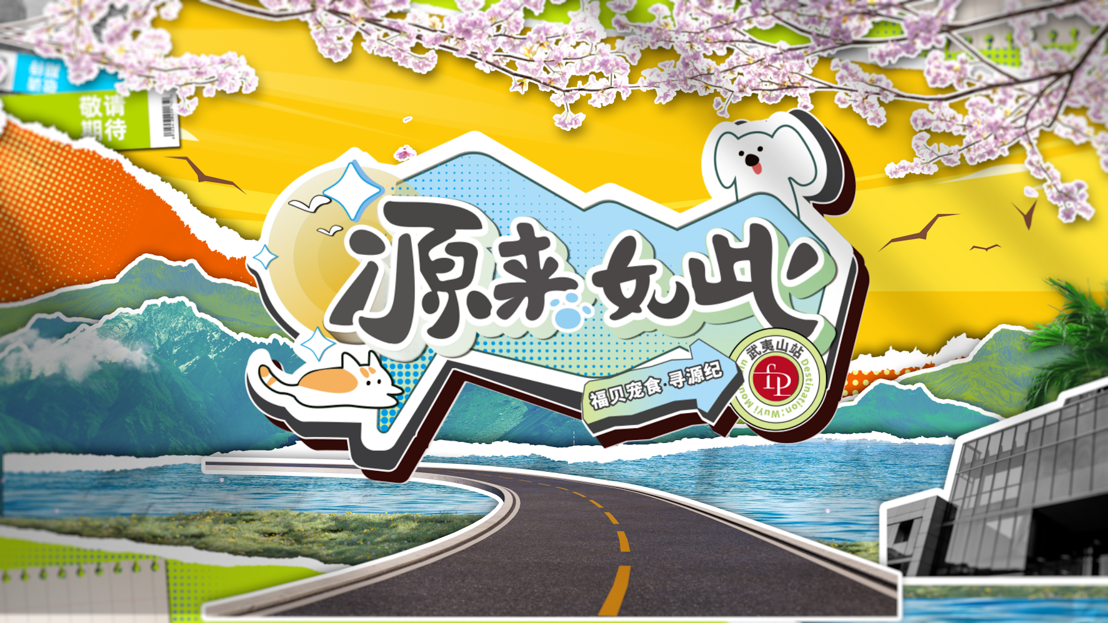 打破常規(guī)，用生動的方式傳遞價值——福貝寵食《尋源紀(jì)》微綜藝正式上線