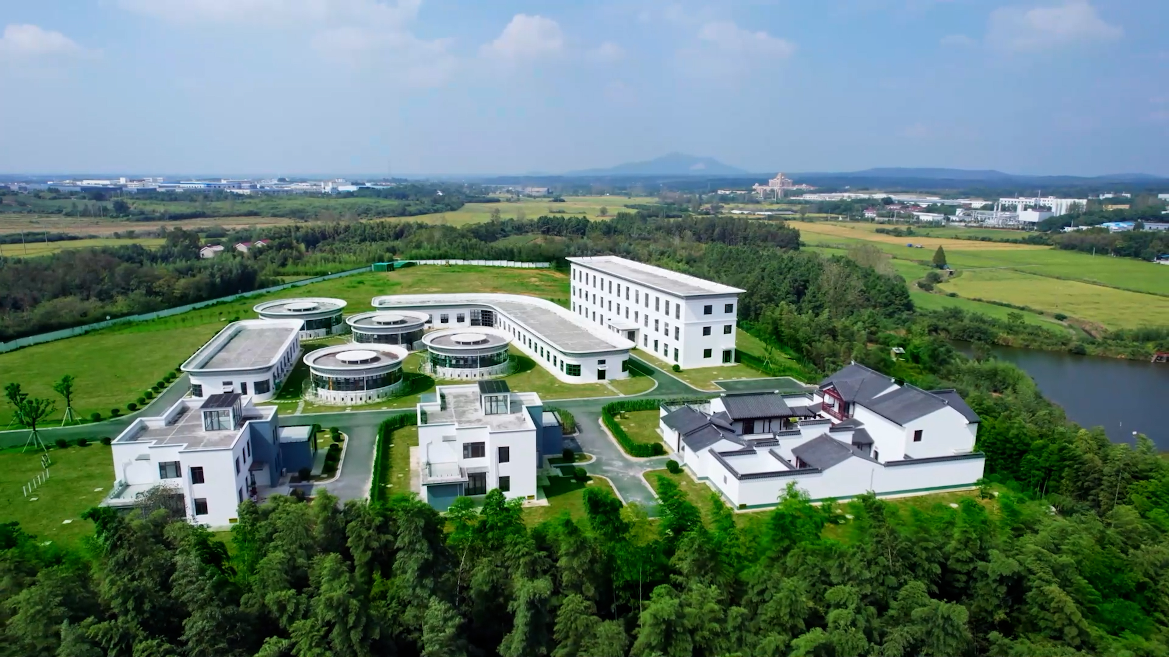 中國首個獲批實(shí)驗(yàn)動物使用許可的寵物食品公司！福貝寵食引領(lǐng)行業(yè)科研規(guī)范化進(jìn)程